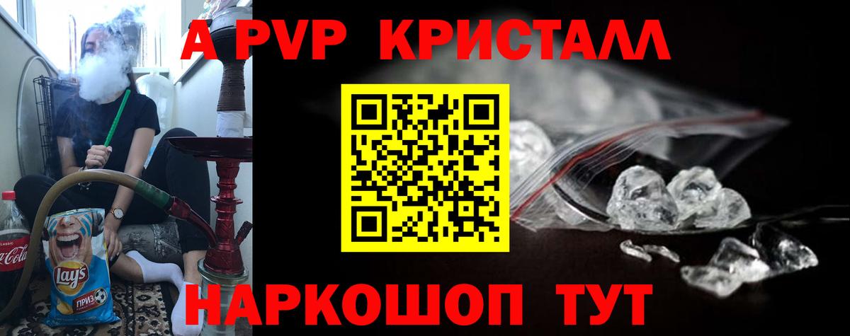 A-PVP СК Горно-Алтайск